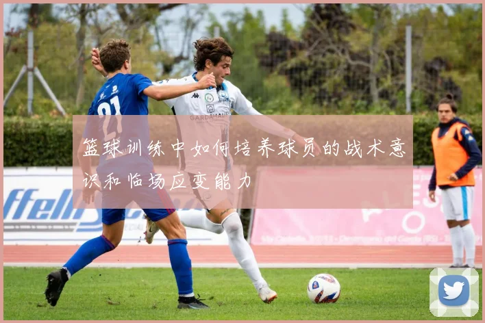 篮球训练中如何培养球员的战术意识和临场应变能力