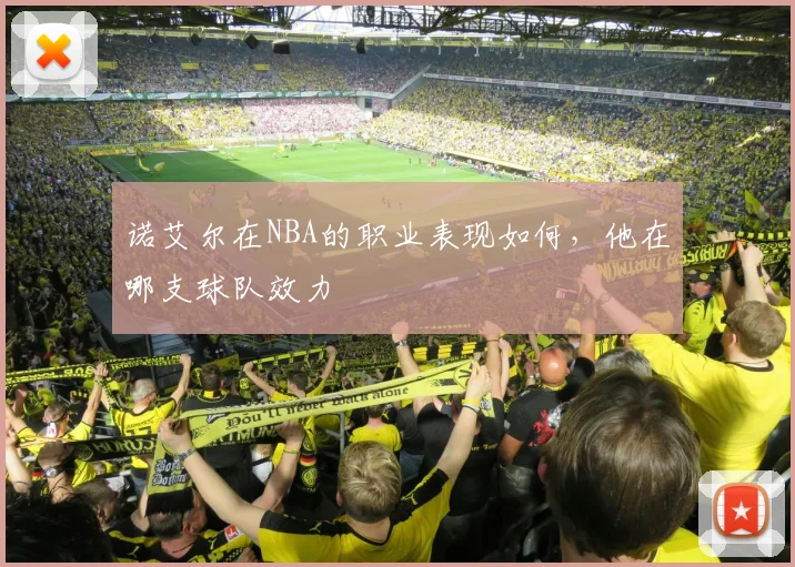 诺艾尔在NBA的职业表现如何，他在哪支球队效力