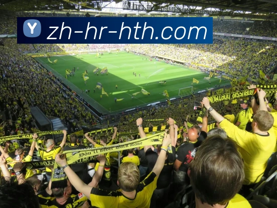 华体会登录入口品牌故事